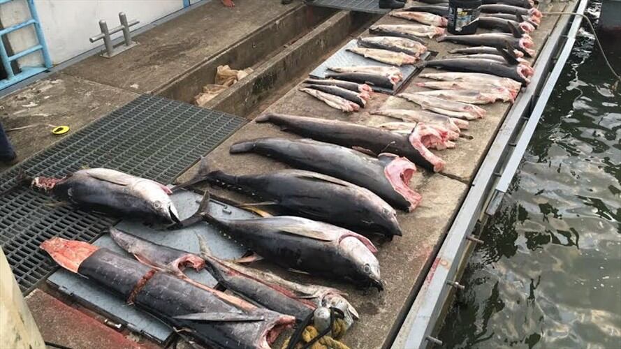 Imagen de referencia. Foto: Armada Nacional