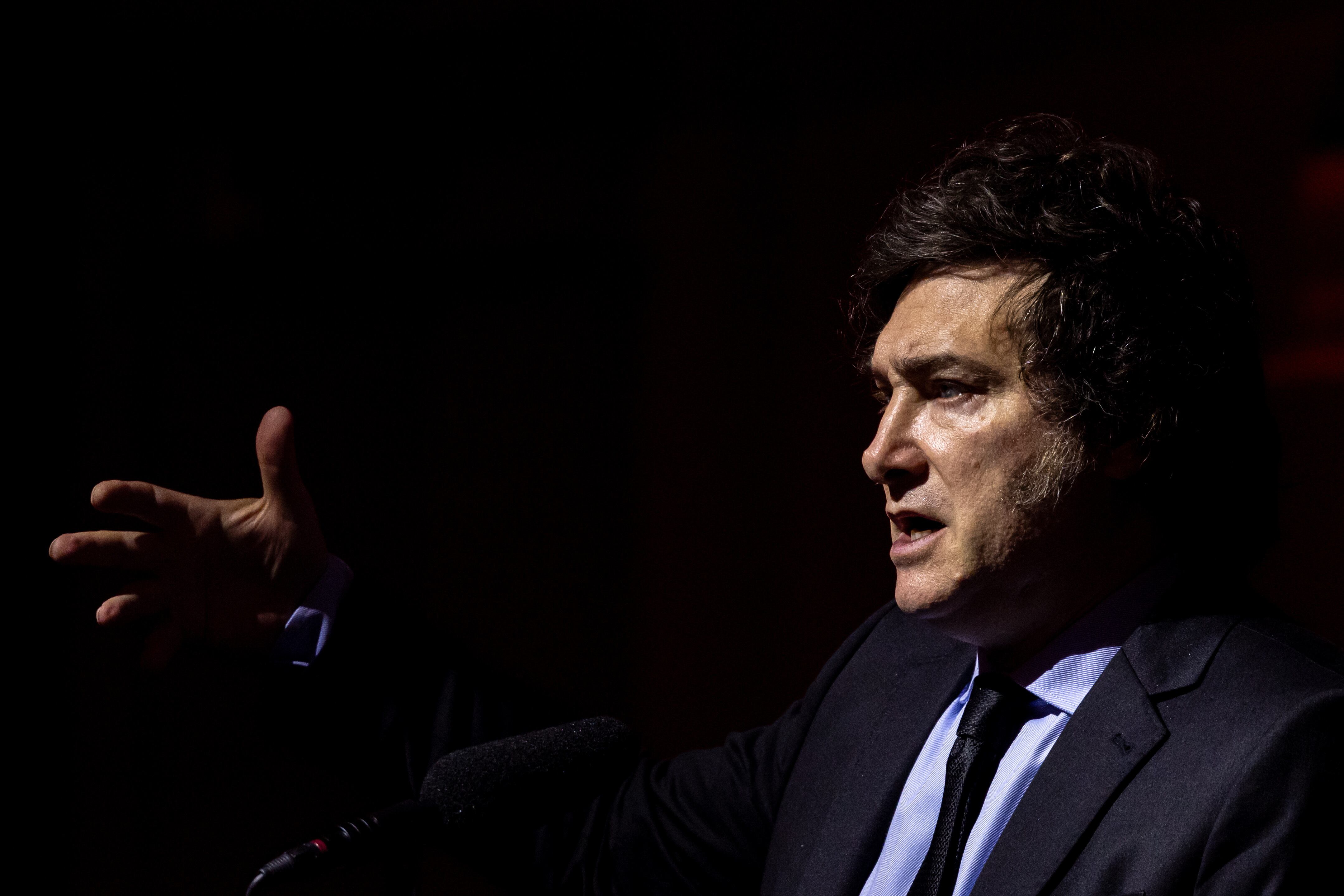 Javier Milei. Foto: EFE/EPA/MARTIN DIVISEK