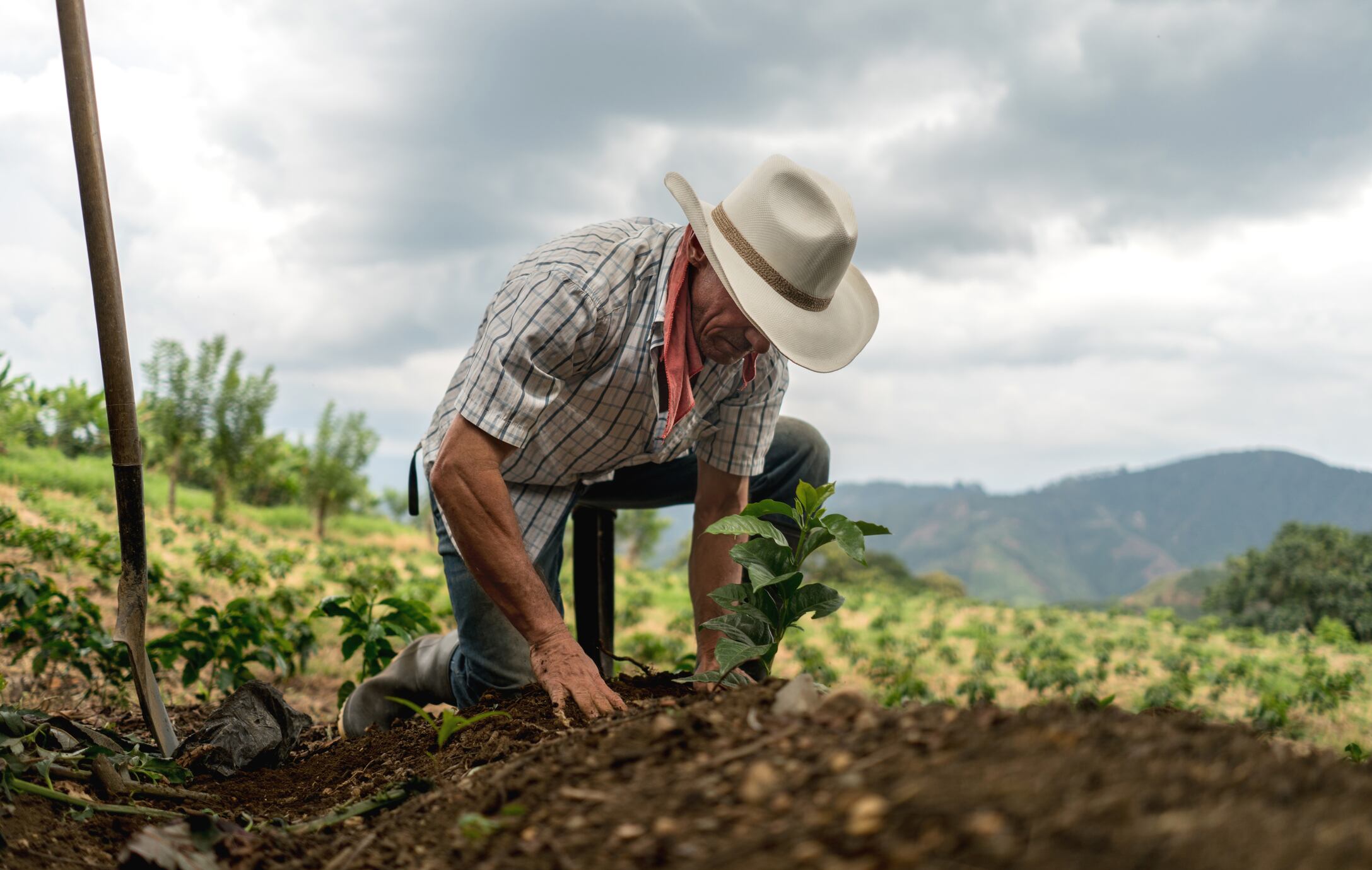 Imagen de referencia de campesino trabajando la tierra.