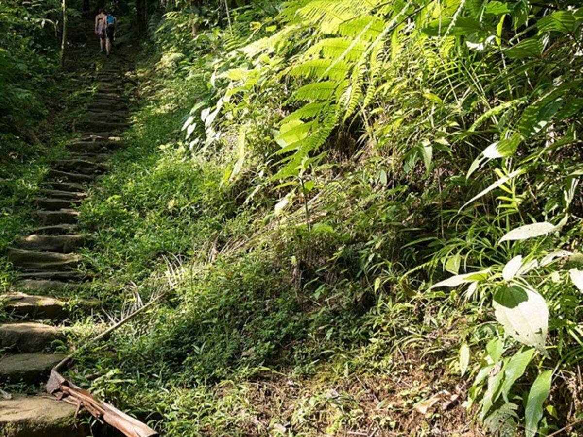 Bandas criminales se tomaron nuevamente la Sierra Nevada de Santa Marta