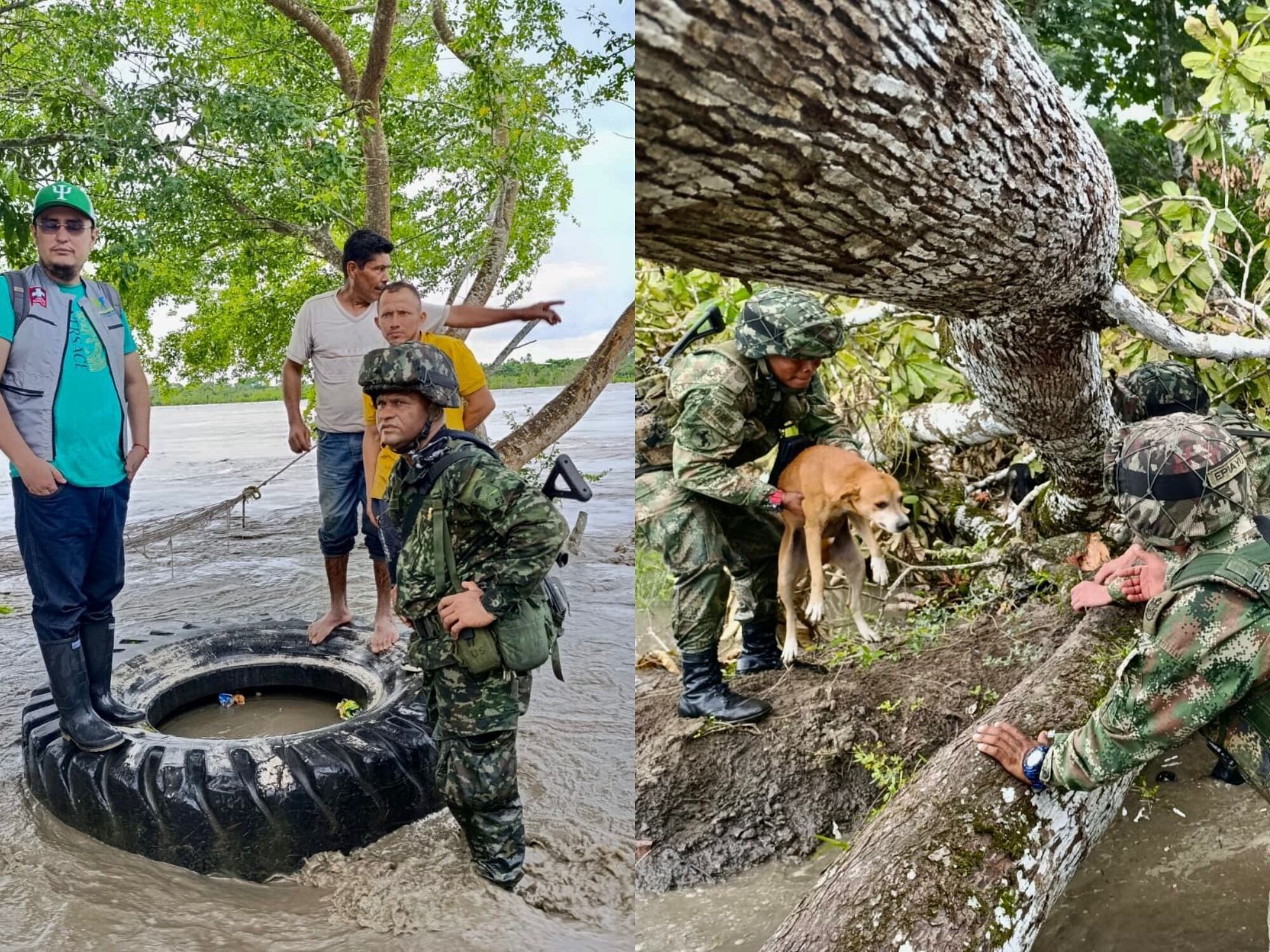 Más de 160 familias, además de animales, fueron rescatados tras desbordamiento de Río Upía. Foto: Suministrada.