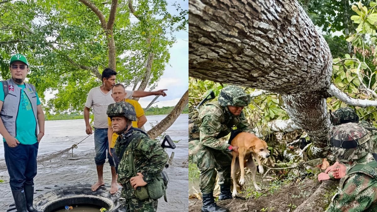 Más de 160 familias, además de animales, fueron rescatados tras desbordamiento de Río Upía