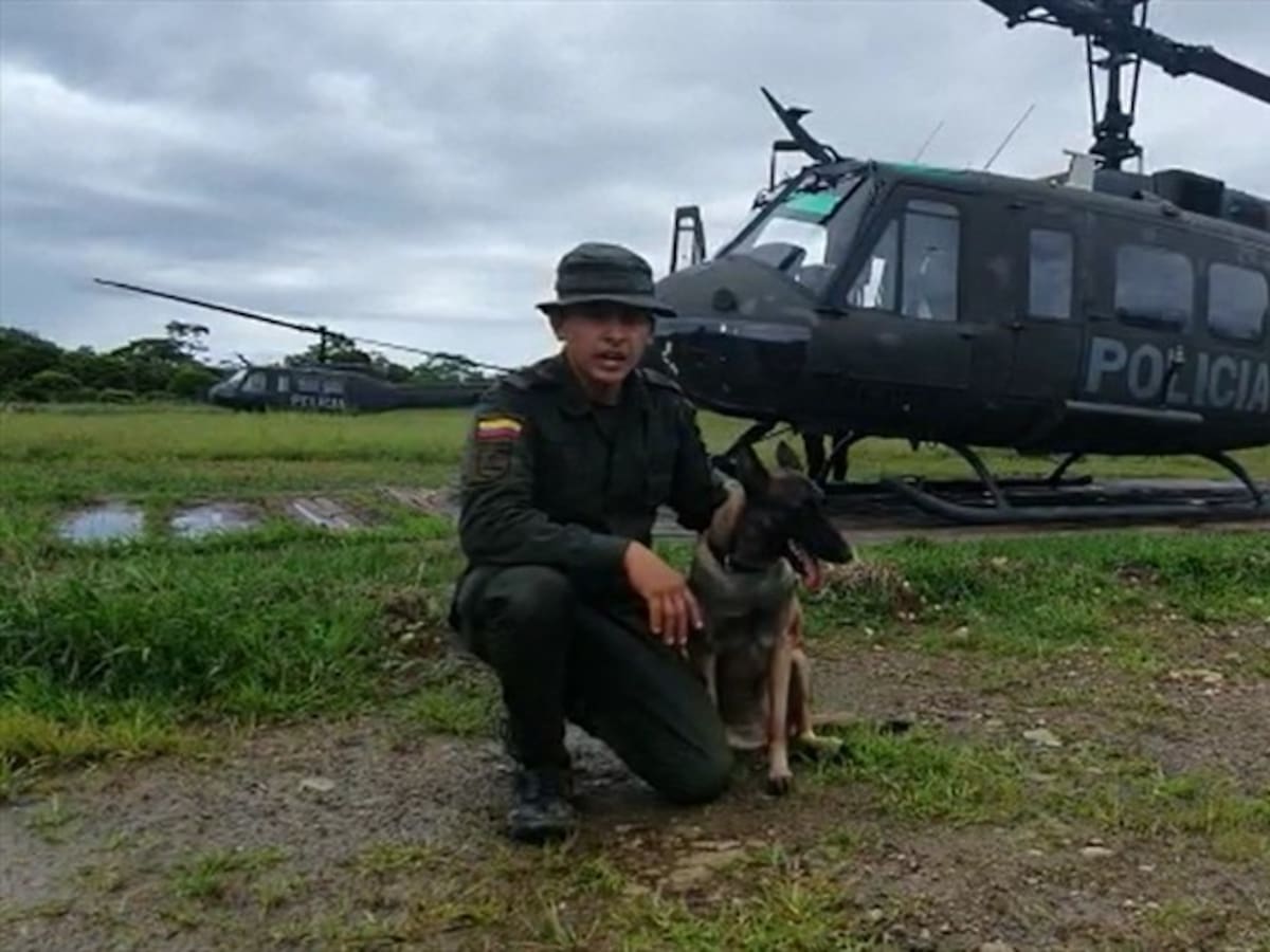 La inspiradora historia de 'India' como canina de la Policía Antinarcóticos