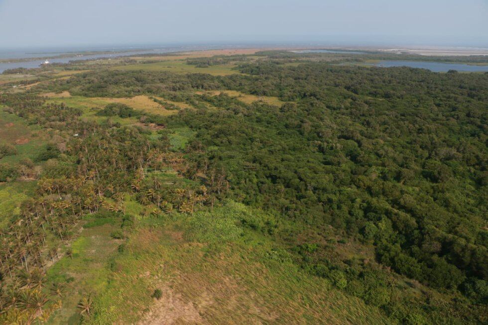 Parque Isla Salamanca