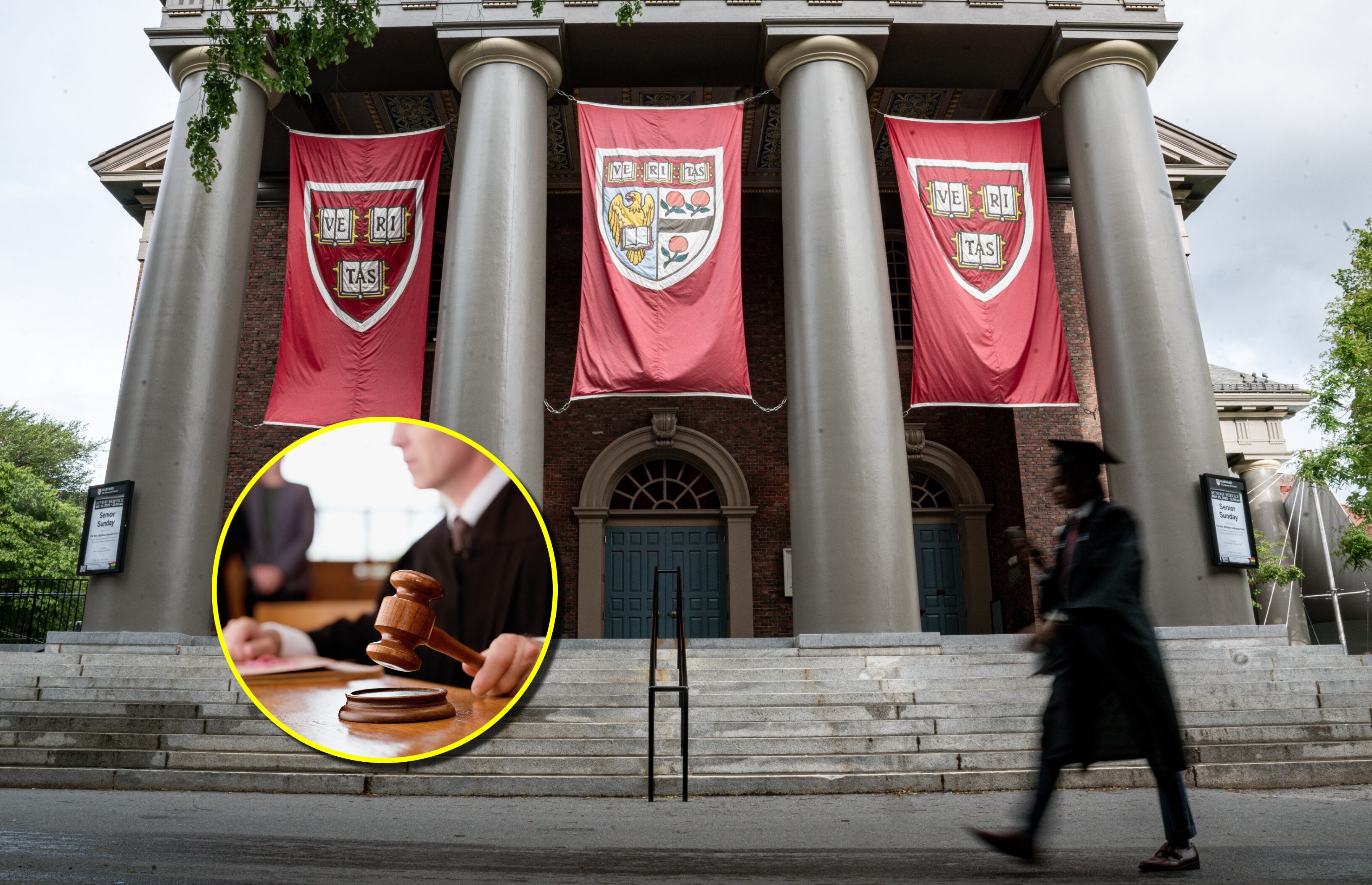 Harvard y referencia de juez. Foto:  Zhu Ziyu/VCG / Chris Ryan vía Getty Images. 