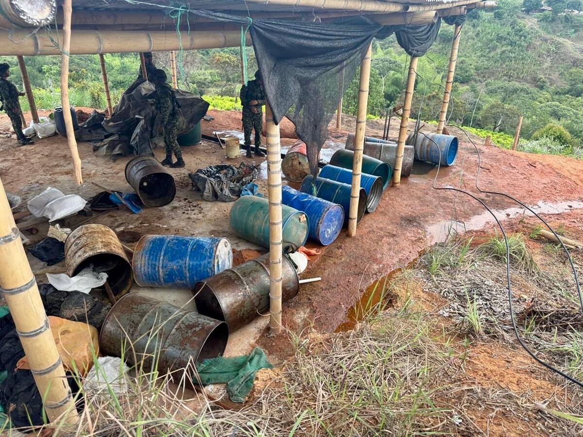 Ejército destruyó siete laboratorios de coca en el Cauca