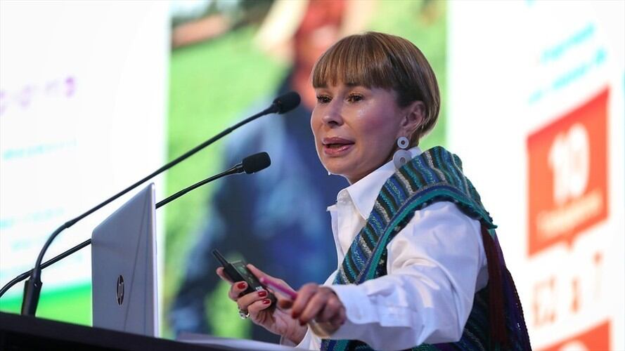 La ministra Alicia Arango aclaró que existe un subregistro al no contar con mecanismos suficientes para mantener actualizadas las cifras. Foto: Colprensa