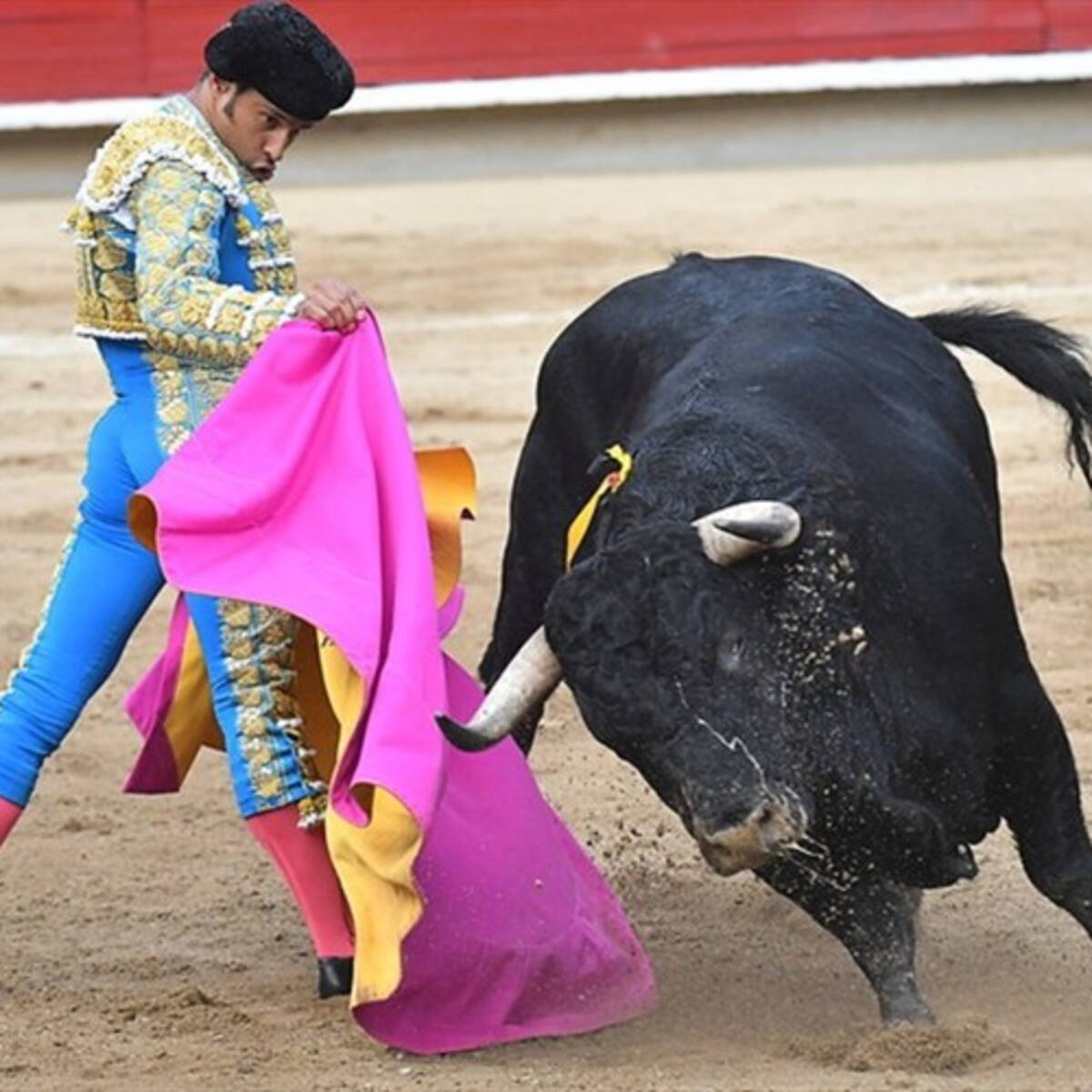 Alcaldía de Bogotá no podrá patrocinar eventos taurinos