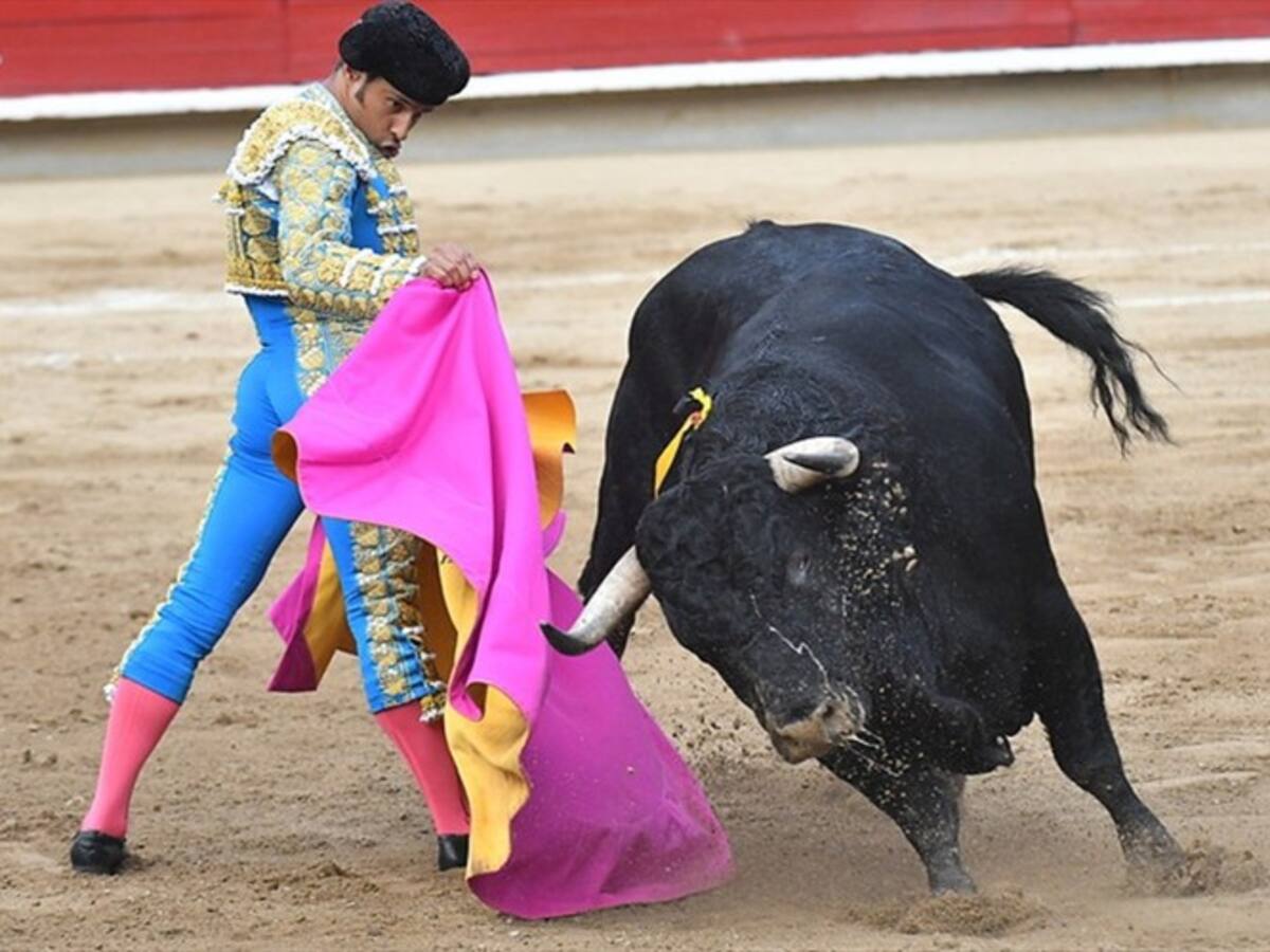 Alcaldía de Bogotá no podrá patrocinar eventos taurinos