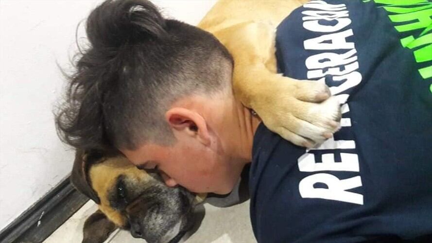 En Argentina muere una perrita falleció asustada por la pirotecnia. Foto: Facebook