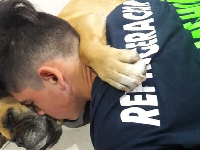 En Argentina muere una perrita falleció asustada por la pirotecnia. Foto: Facebook