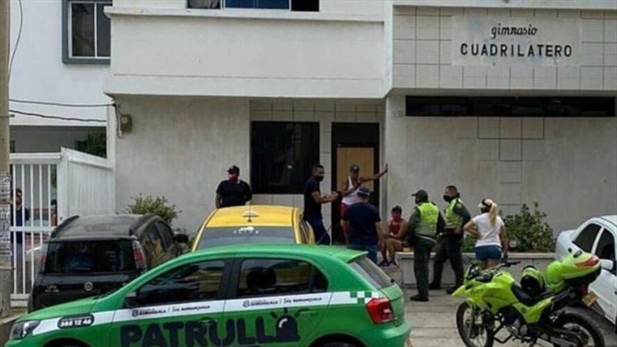 Fiscalía abre investigación por presunto uso de gatos como 'peras de boxeo'. Foto: Twitter: @juliherrerap