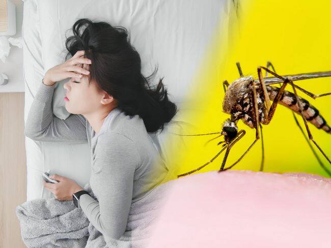 Imagen de referencia // mujer enferma // zancudo // fiebre amarilla