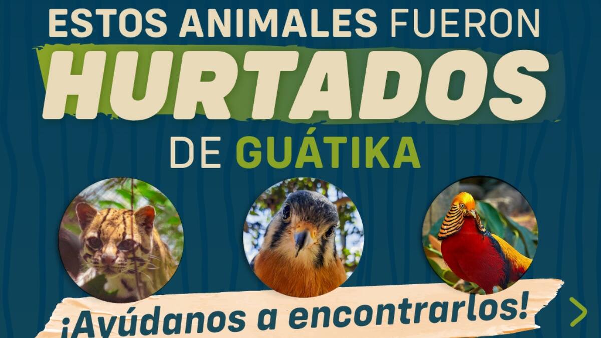 Bioparque de Guátika, en Boyacá, ya recuperó a cinco de los seis animales exóticos robados