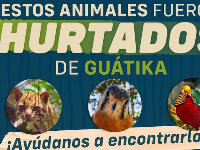 Bioparque de Guátika, en Boyacá, ya recuperó a cinco de los seis animales exóticos robados