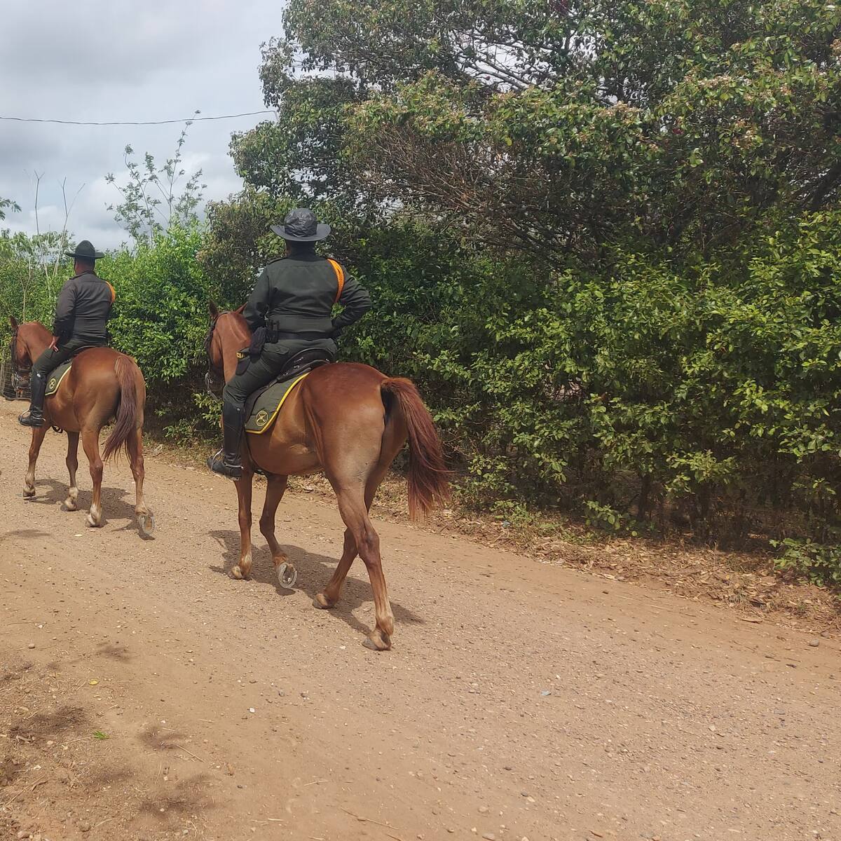 Intensifican presencia de carabineros en zonas rurales de Sahagún y Chinú, Córdoba