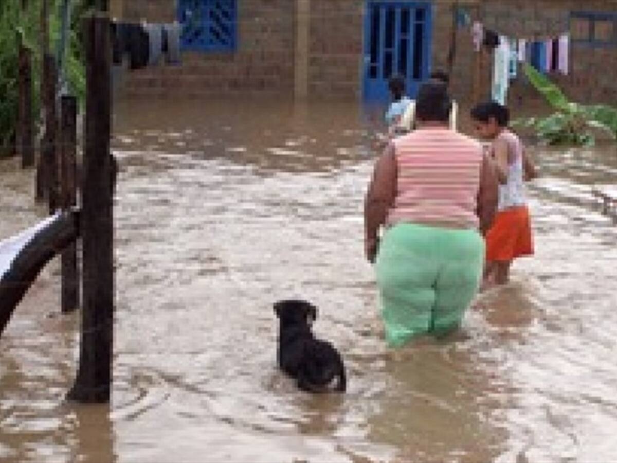 Alerta roja en Puerto Wilches por inundaciones