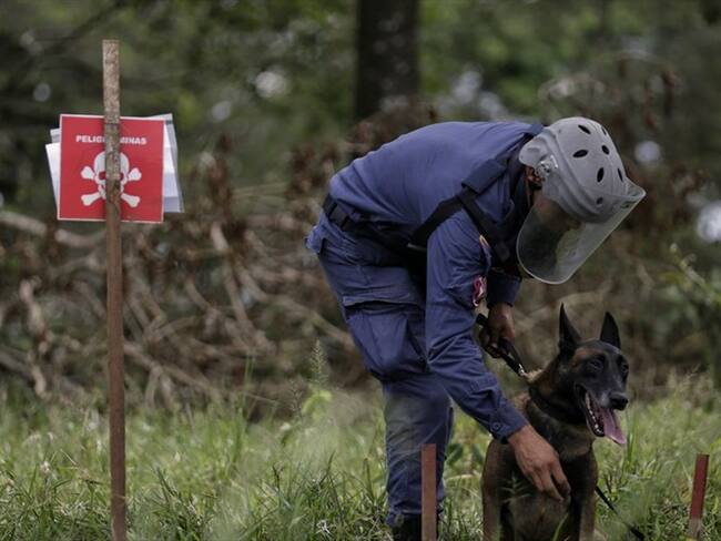 Desarrollan un dispositivo para detectar minas antipersonal