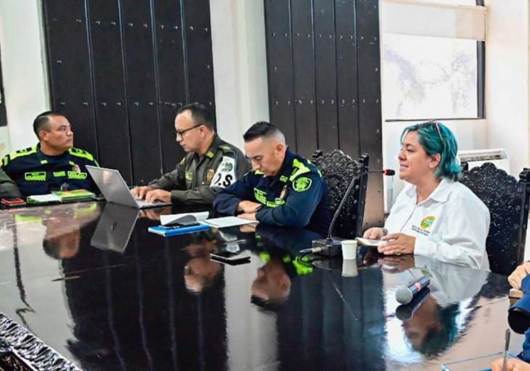 Ana María González, secretaria del Interior, en un Consejo de Seguridad. Crédito: Cortesía.