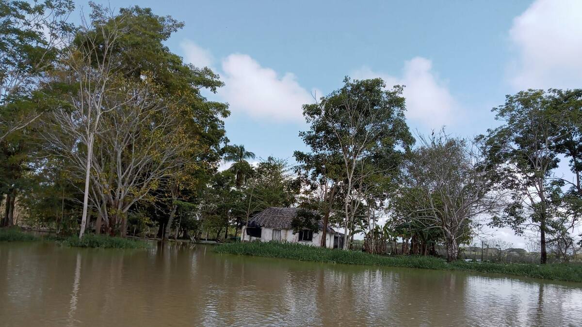 Damnificados por las inundaciones en La Mojana anuncian paro indefinido
