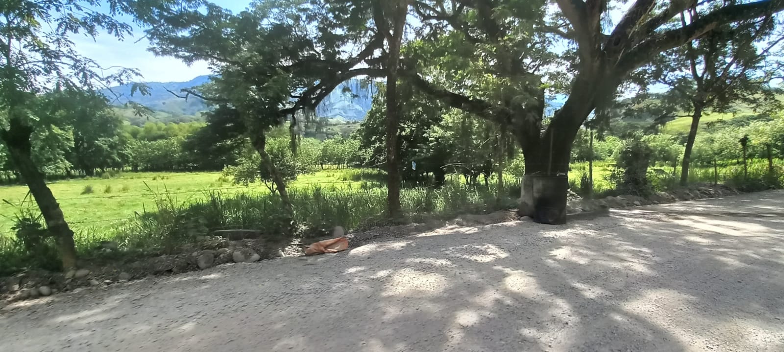 Vía Arma - La Pintada. Foto suministrada.