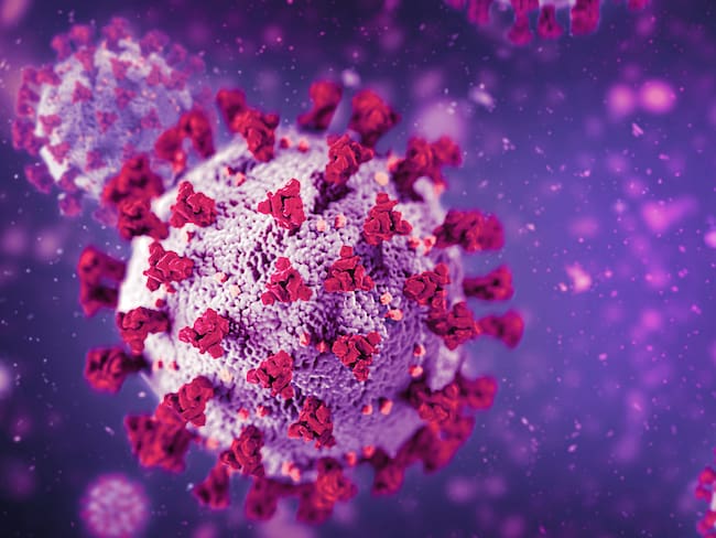 XBB.1.5 es la nueva variante de ómicron procedente de Estados Unidos / Foto: GettyImages