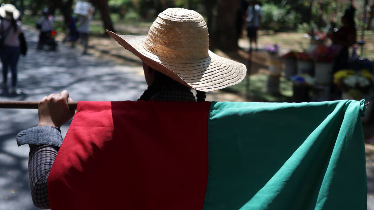 Alcalde de Zarzal denuncia que, sin informarles, ANT entregó tierras del municipio a minga