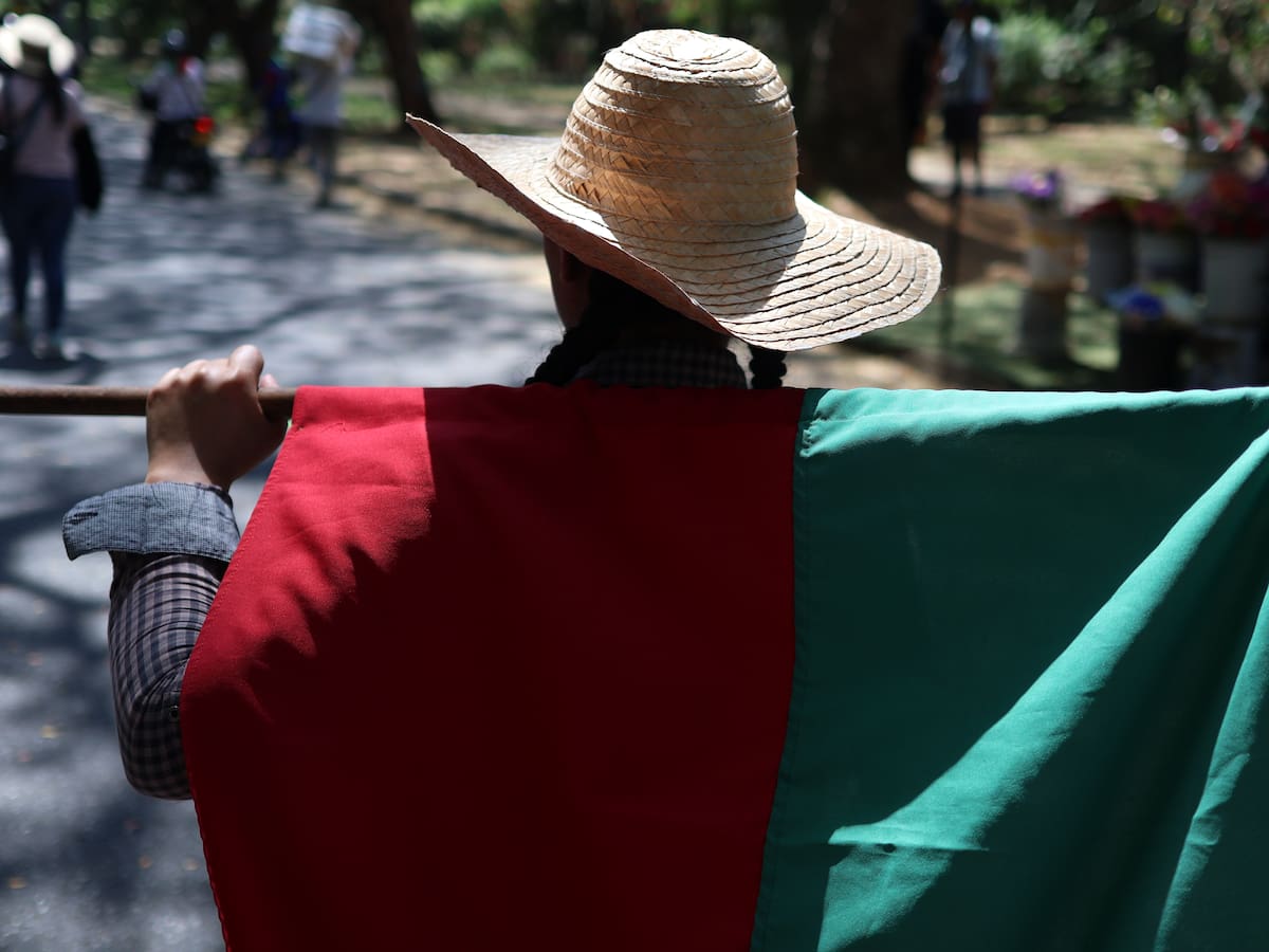 DNP aclara alcance de estrategia para modificar registro de propiedad de indígenas