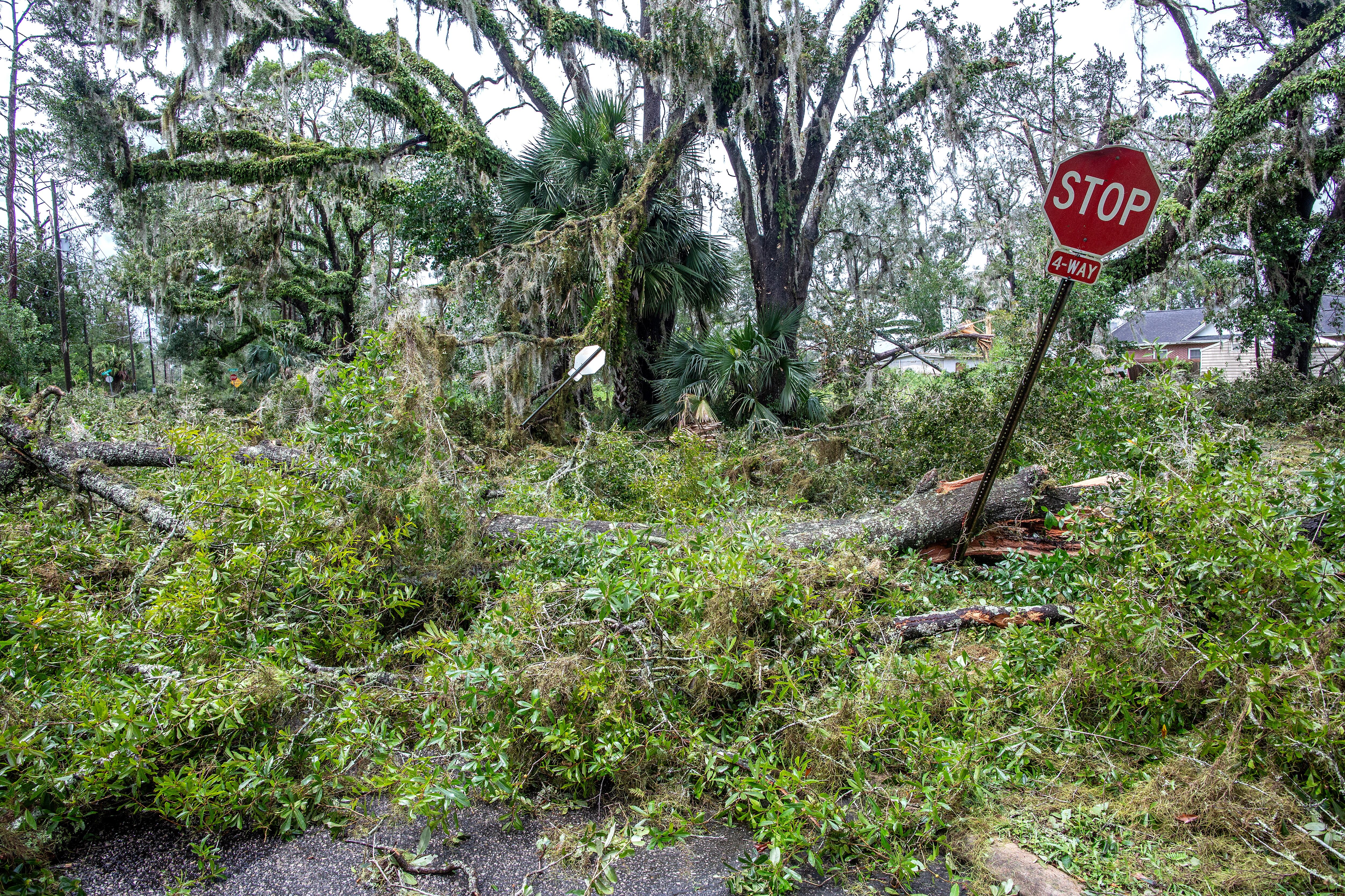 Consecuencias del huracán Idalia en la Florida, EE. UU.  EFE/EPA/CRISTOBAL HERRERA-ULASHKEVICH