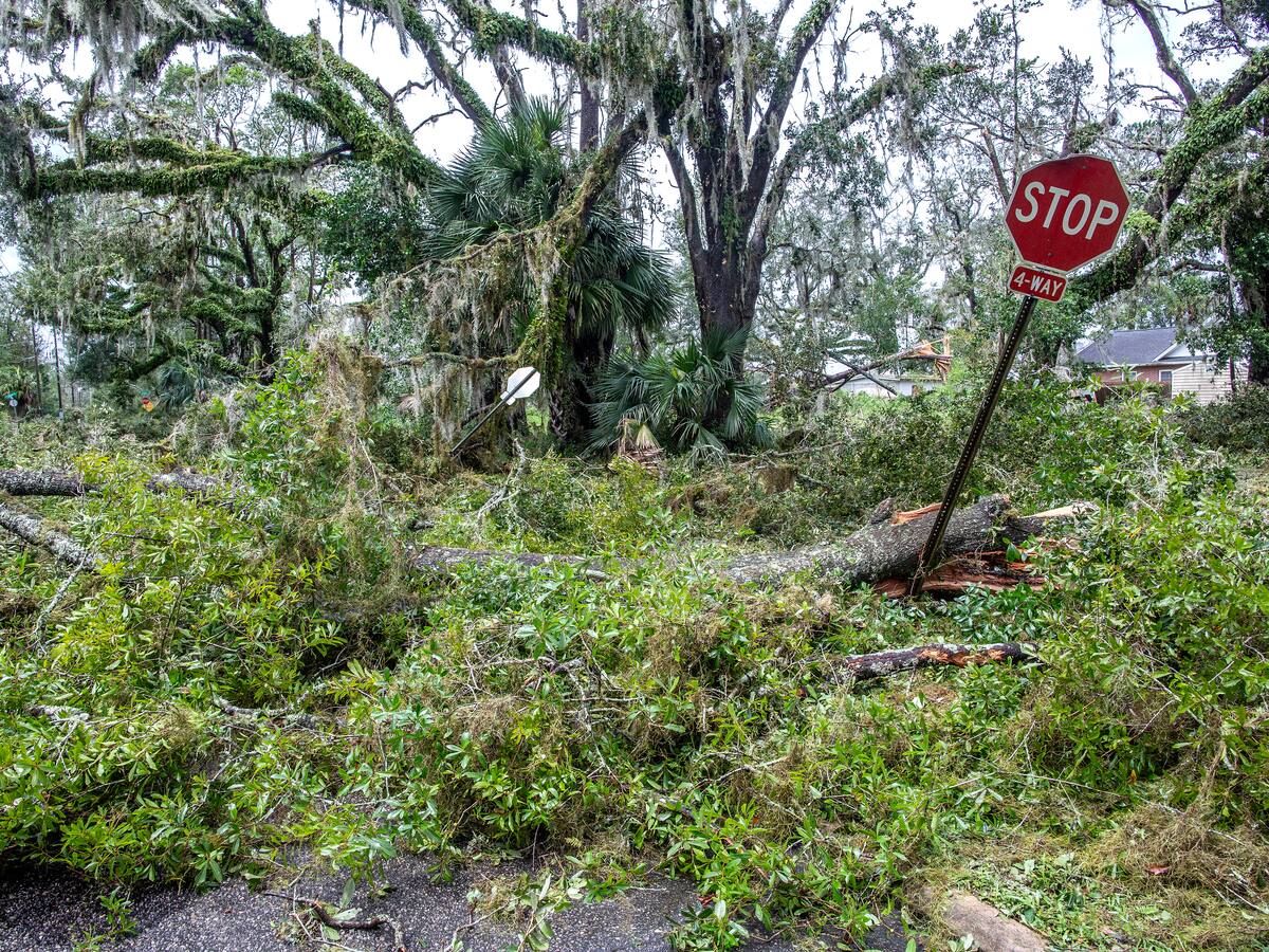 Idalia se degrada a tormenta tropical a su paso por Georgia y las Carolinas