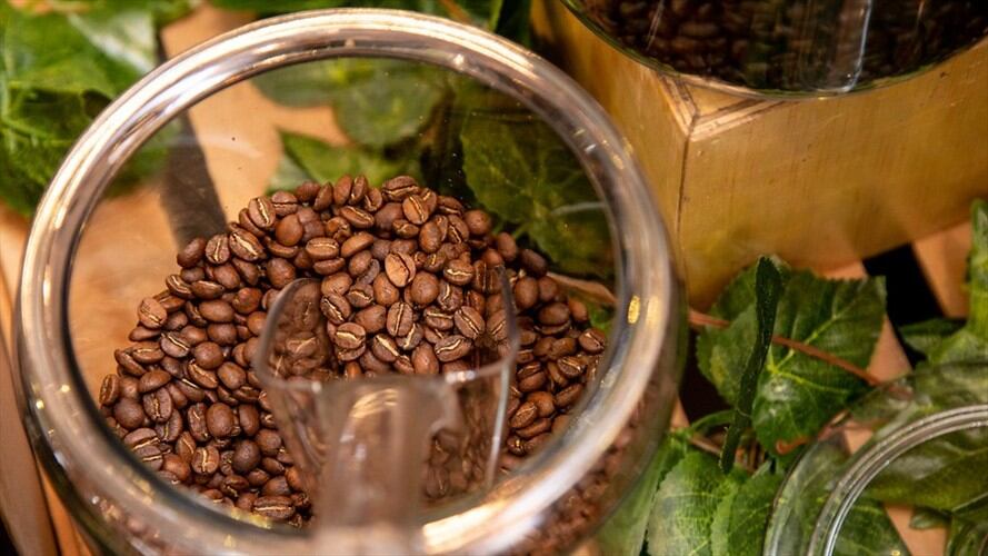 Ayuda humanitaria en San Andrés y Providencia. Foto: Colprensa