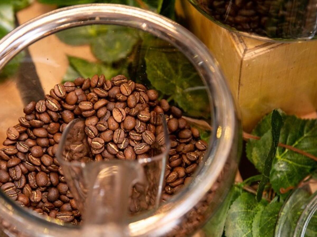 Cafeteros donaron dos toneladas de café tostado y molido a San Andrés y Providencia