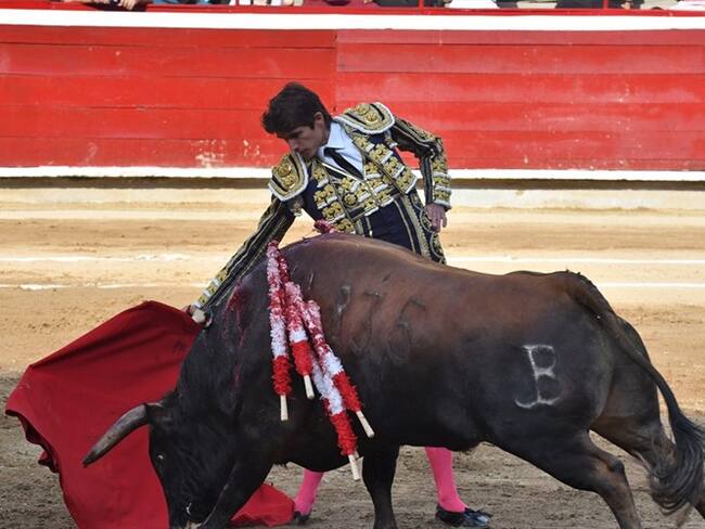 ¿La poca asistencia a la “fiesta de toros” acabará esta práctica en Colombia?