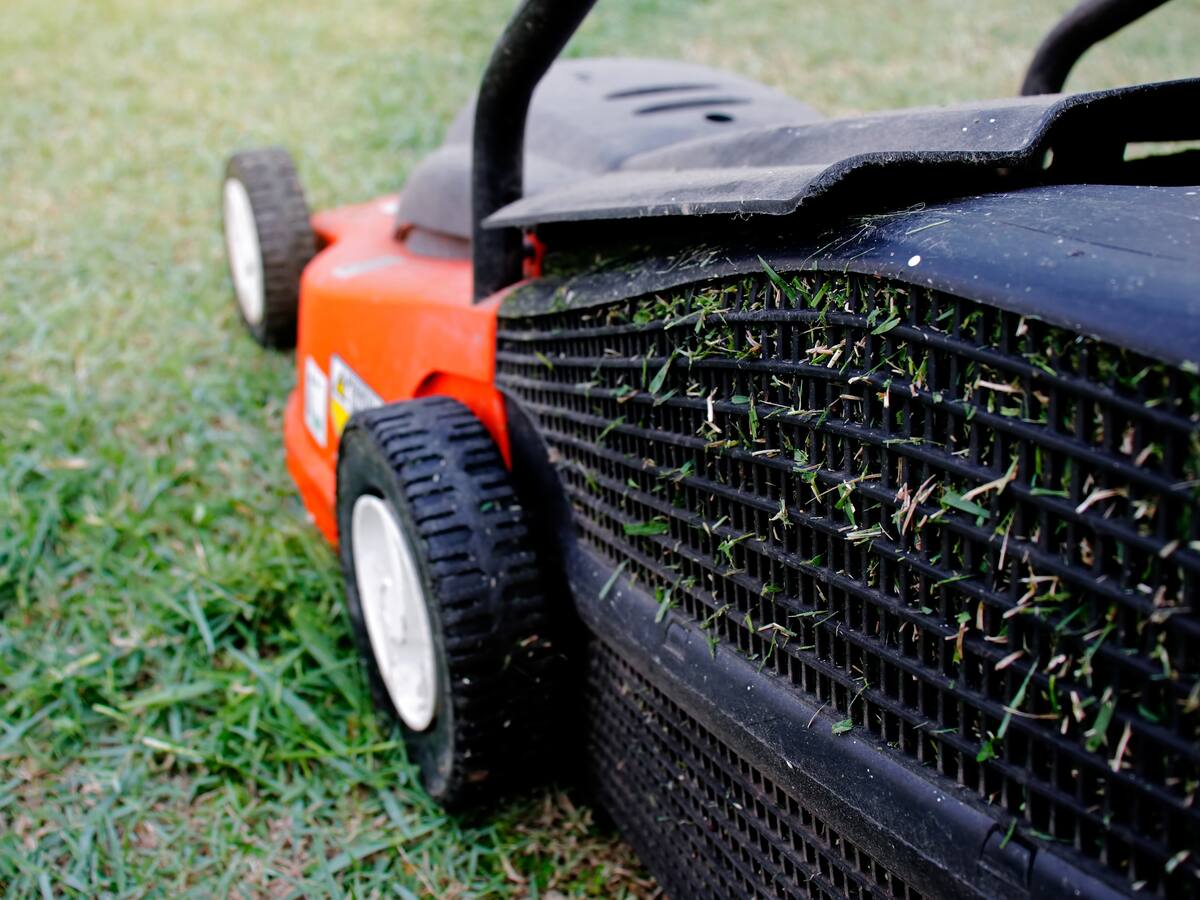 Soluciones W: una guadaña de alta calidad, la ayuda de Tierragro para un campesino
