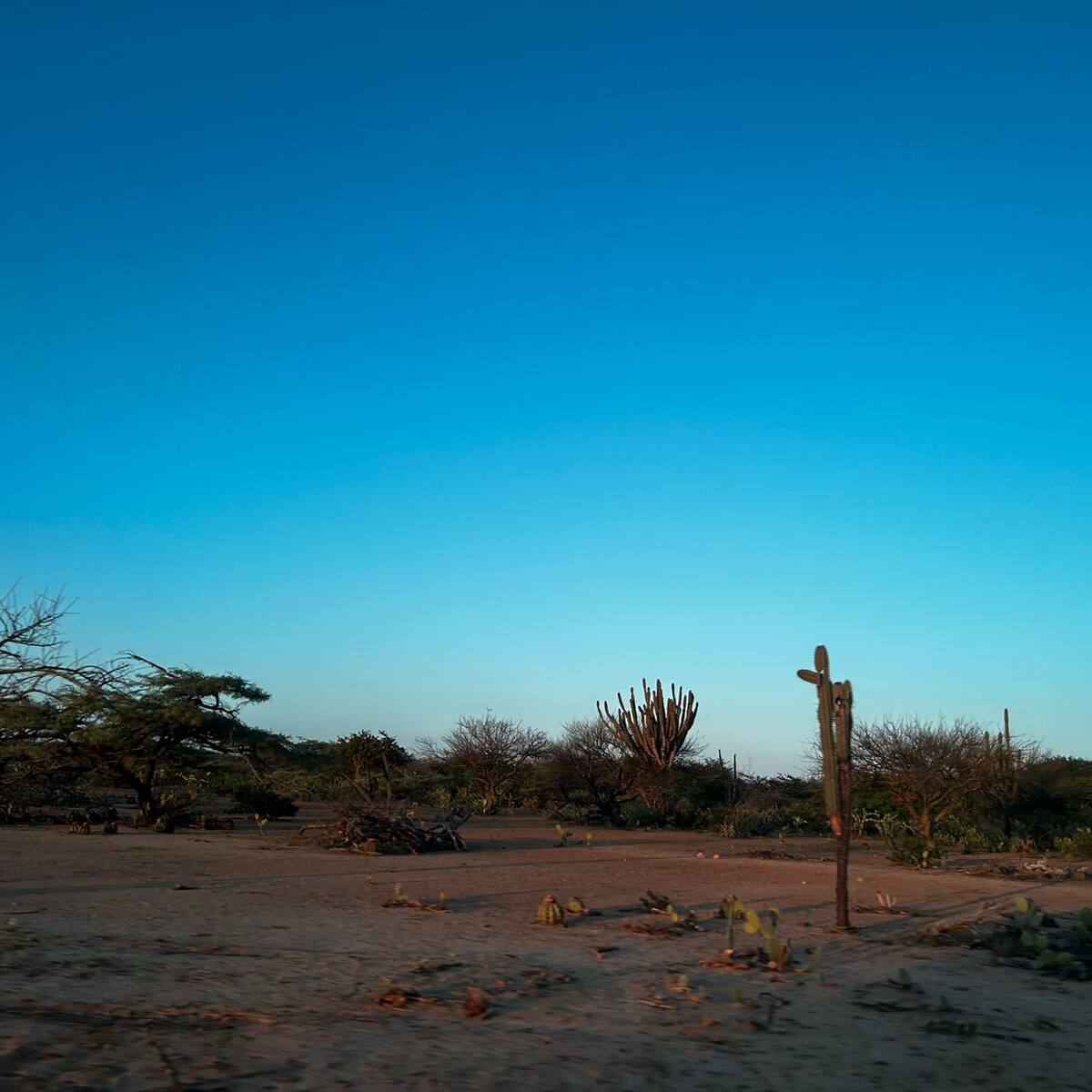 Con poemas, comunidad de Yotojoroshi en La Guajira celebró “la llegada del agua”