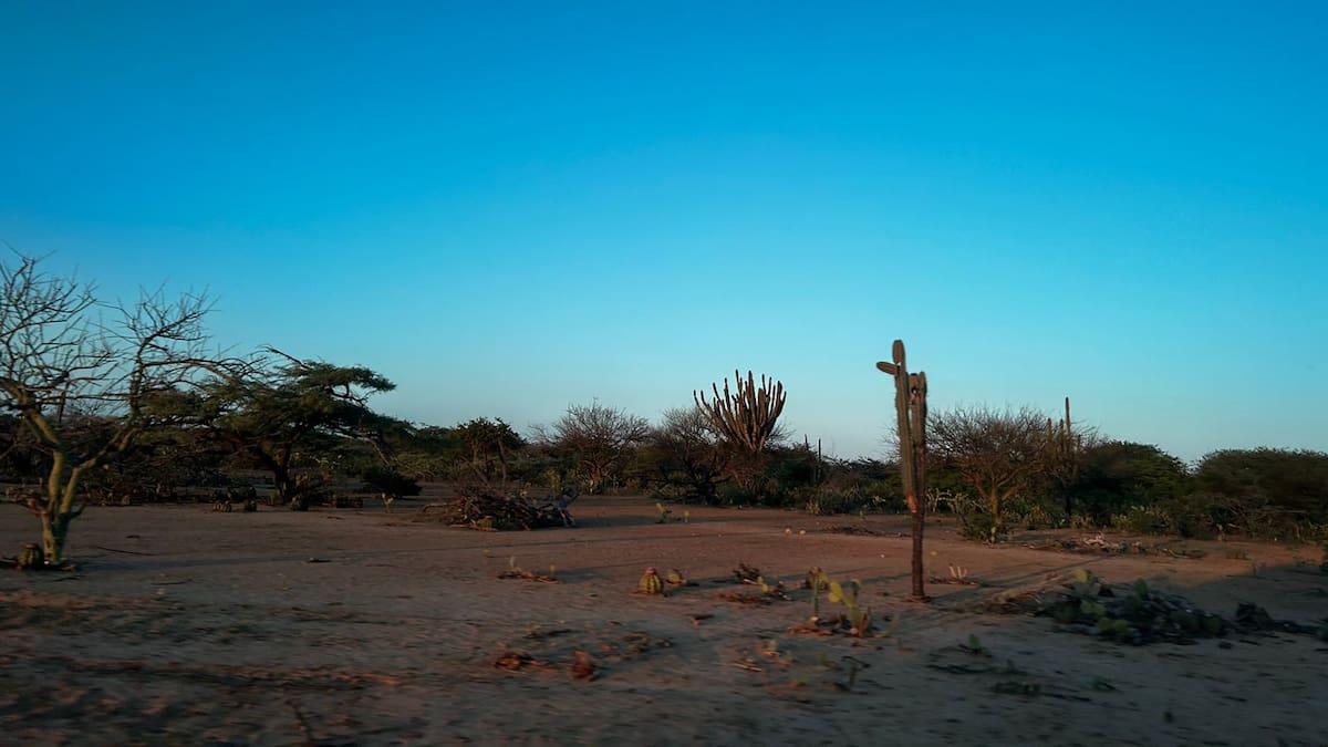 Corte tumba decreto que preveía medidas en materia ambiental para La Guajira