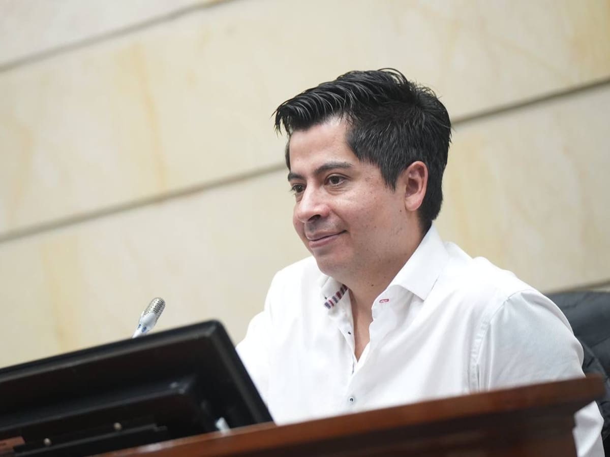 “Militarmente no significa nada”: Ariel Ávila sobre captura de alias ‘Mono Luis’