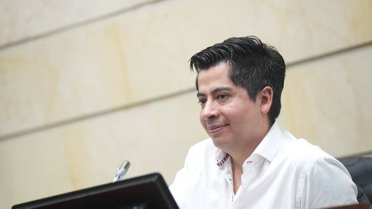 “Militarmente no significa nada”: Ariel Ávila sobre captura de alias ‘Mono Luis’