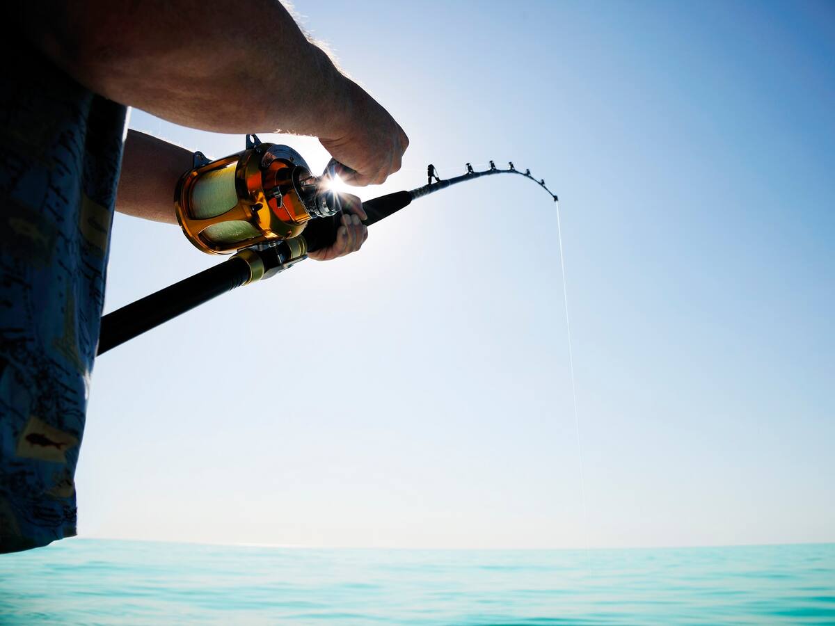 Corte declaró inconstitucional la pesca deportiva en Colombia