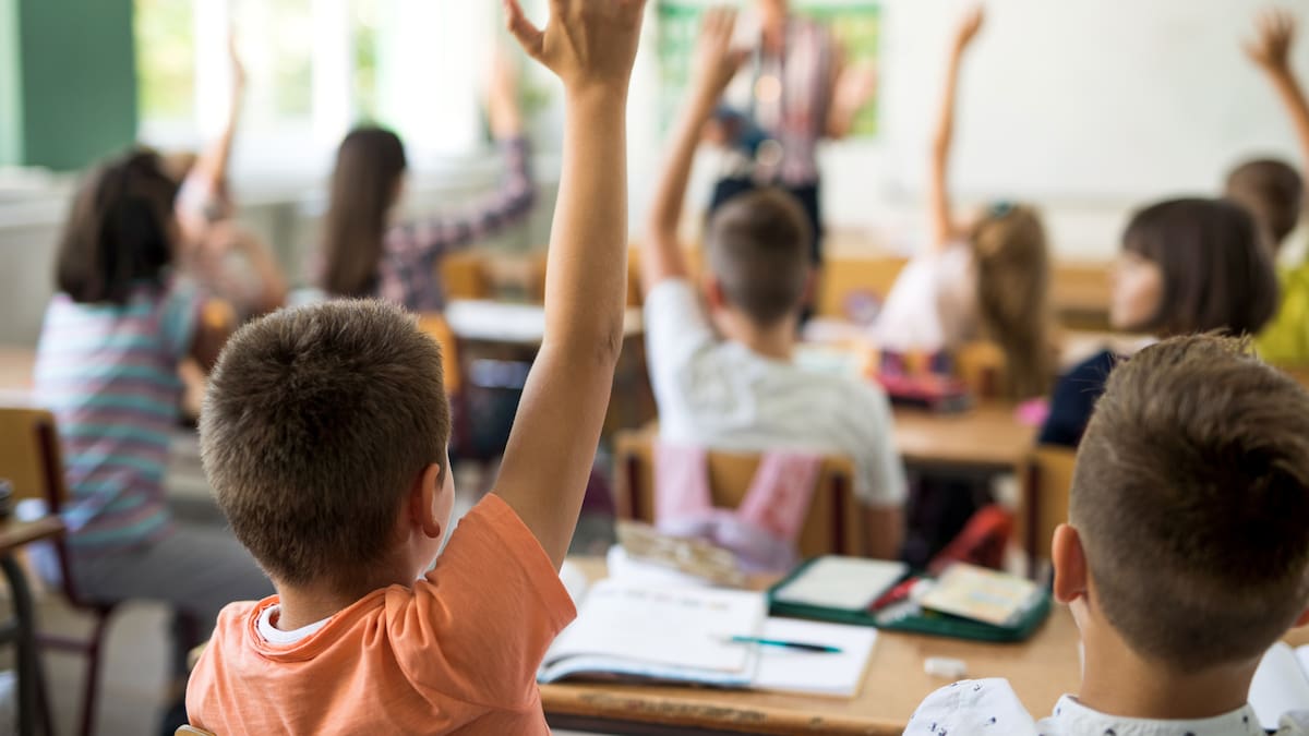 Cupos abiertos para colegios distritales en 2024: pasos para solicitarlo nuevamente