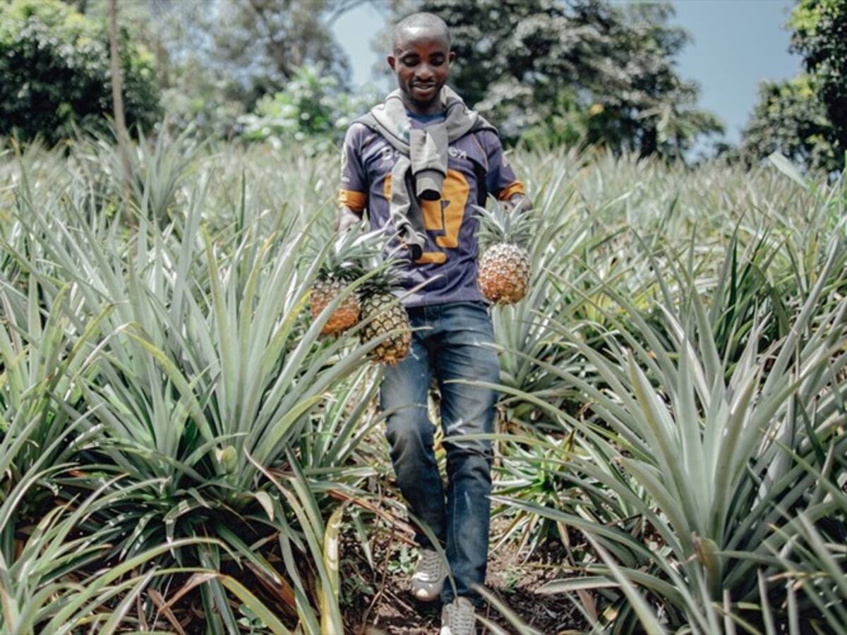 La “mermelada” de los fondos de paz