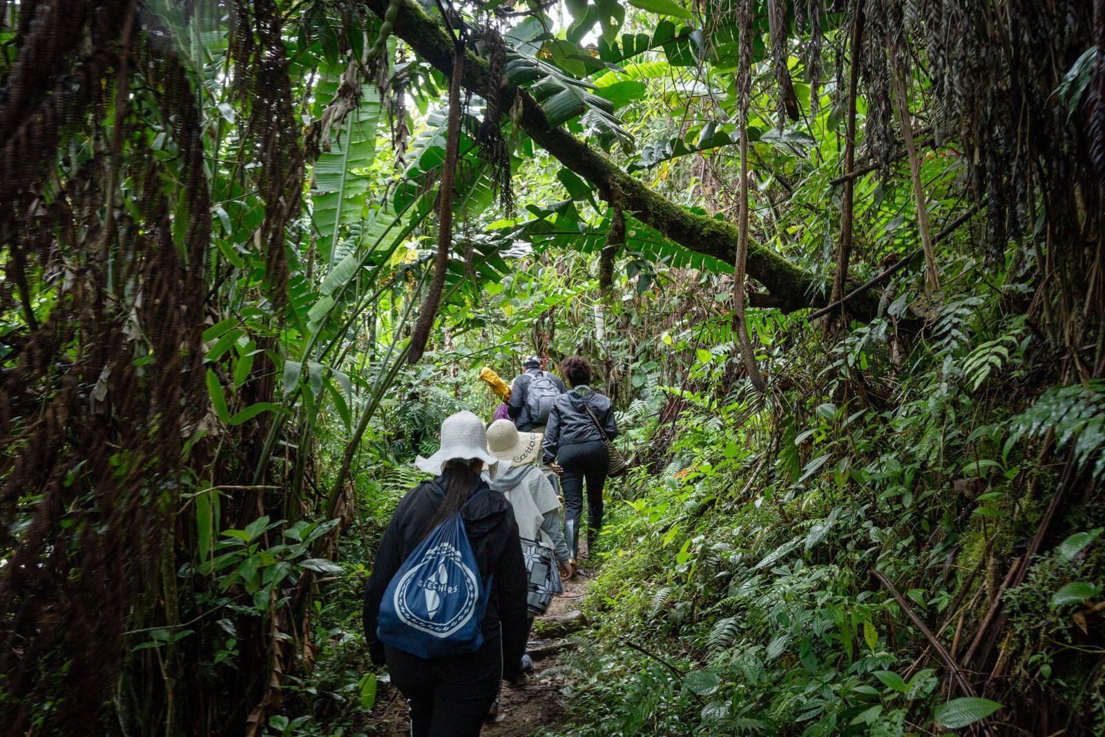 Unidad de Búsqueda recupera cuerpos de dos jóvenes en parque natural del Huila. Foto: Corporación Reencuentros