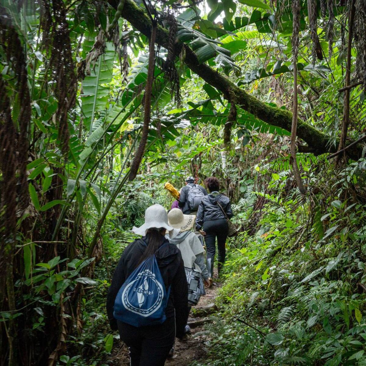 Unidad de Búsqueda recupera cuerpos de dos jóvenes en parque natural del Huila