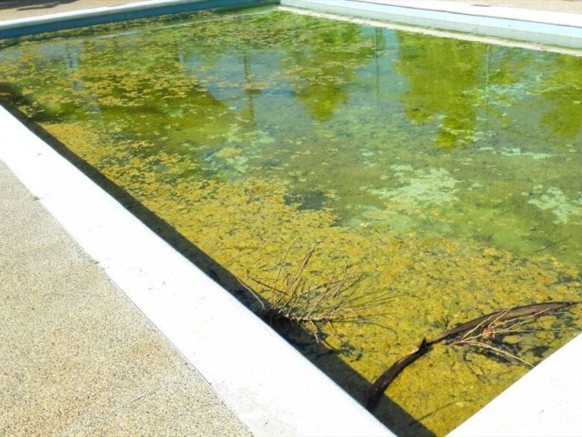 ¿Hasta cuándo el atraso en los pagos a empleados de Uniautónoma?