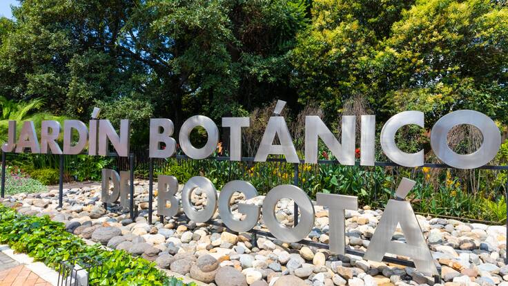 ¿Cuánto vale la entrada al Jardín Botánico? Todo lo que puede ver durante su visita (Getty Images)