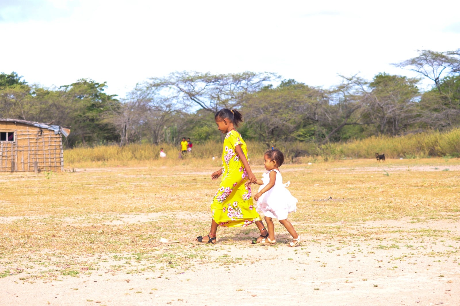 Niños de la comunidad Wayúu de Kai Kashi. Foto: Prisa Media