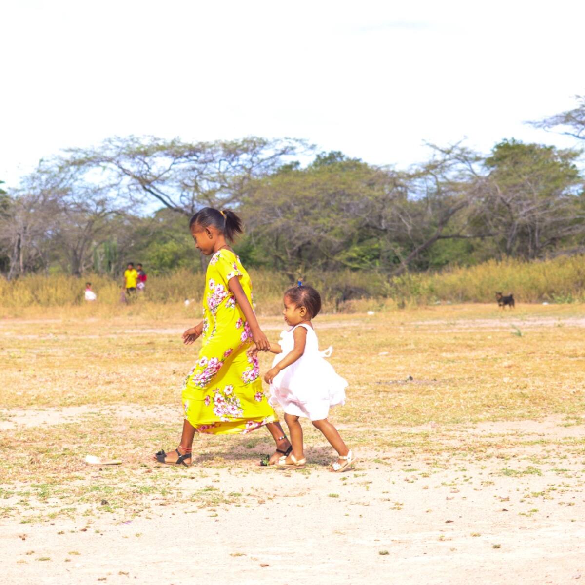 Misión La Guajira no se detiene: sigue el trabajo para llevar agua y energía a comunidades