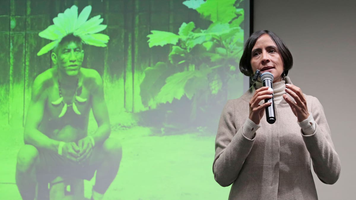 Ley minera, protección de ecosistemas y cambio climático: temas de la COP16