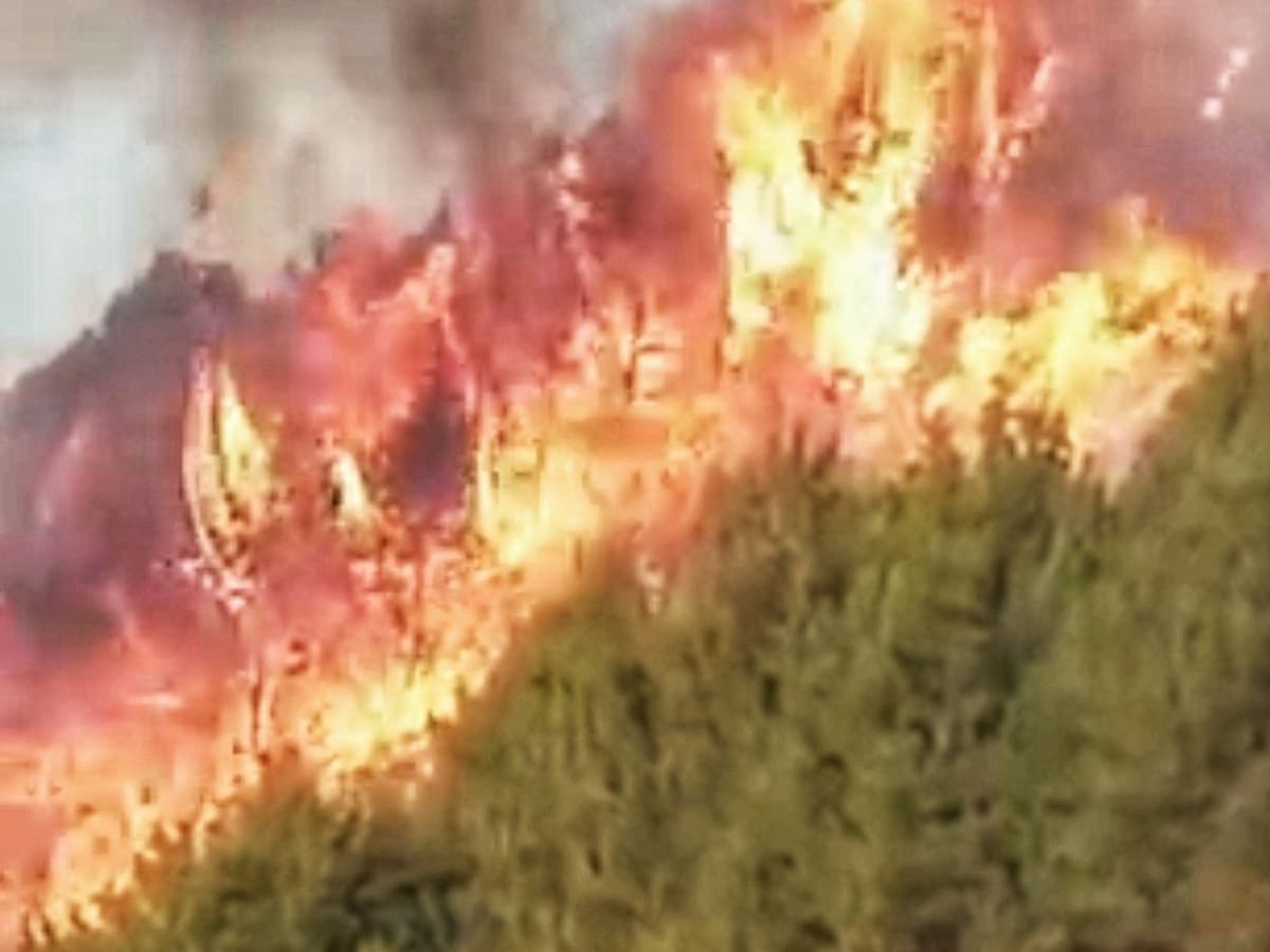 Fuerte incendio consumió más de 400 hectáreas de Páramo en el Cauca