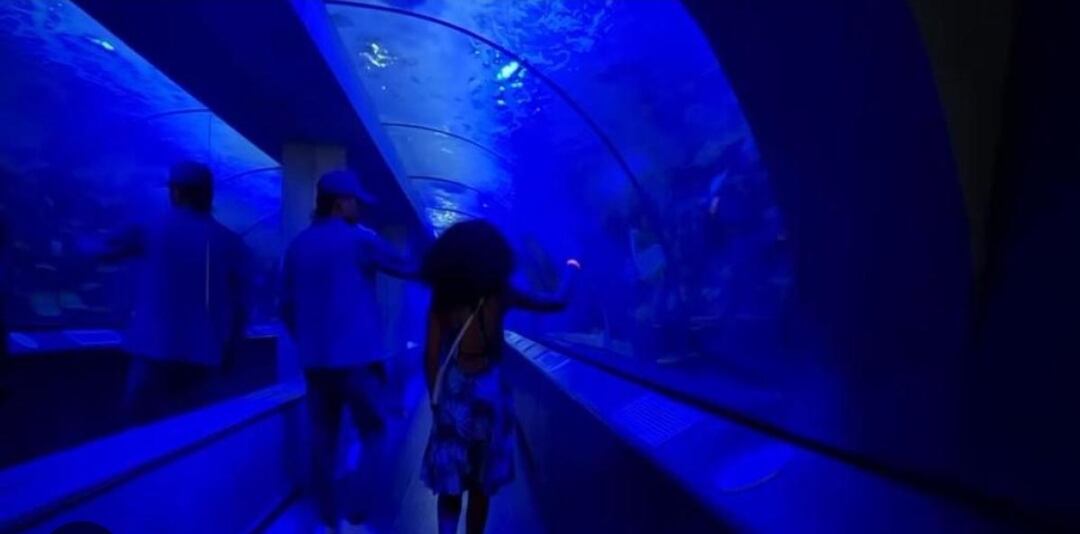 Foto: Túnel Marino/ Cortesía